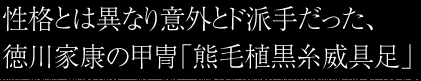 性格とは異なり意外とド派手だった、徳川家康の甲冑「熊毛植黒糸威具足」